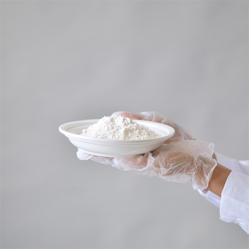 Hidroksipropilmetilceluloze CAS 9004-65-3